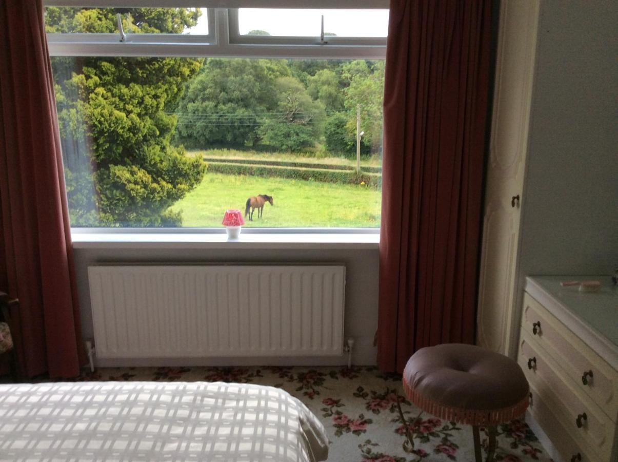Hallmount House - Holiday home *